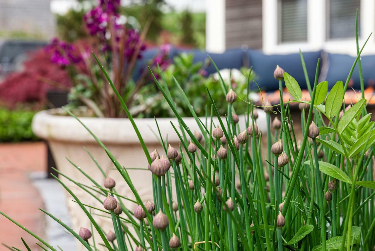 Spouter Inn Bed & Breakfast Lincolnville Dış mekan fotoğraf